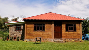 previo tzipani 740x500